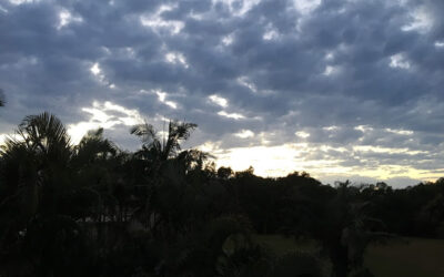 My PhD Journey – Musing #1 – why is the sunrise not pink?